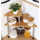 Latitude Run® Corner Shelves 2 Tier Spice Rack-Standing ...